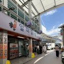 김삿갓면-33 | ☀️쨍쨍했던 어느 여름, 강원도 영월 캠핑 &amp; 여행 기록 🍉