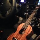 [주말]우쿨렐레 이미지