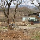 내화농장 이미지