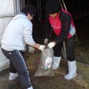 팔구농산 이미지