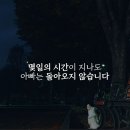 [예고] 연기천재 알콩이가 출연한 입양과 후원을 위한 NFT DB 프로젝트. 이미지