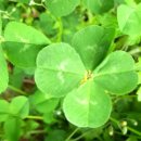 이광래내과의원 이미지