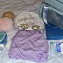 허니바디 스포츠 이미지