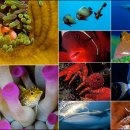 물속풍경 이미지