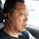 '2-30 | 폴리 플랜트로닉스 보이저 레전드 30 2주 사용 후기