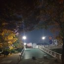 헬린이 봄블리의 운동일지(feat.핏걸신곡점)