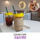 오늘도 댕댕 이미지