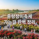 태릉입구역 3번출구 버스정류장 | 중랑 서울장미축제 가는길