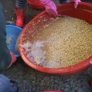 영오2농장 이미지