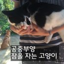 그르릉 이미지
