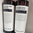 영종대로 | 영종도오션뷰숙소 영종도인더문 인천오션뷰숙소 감성숙소 후기