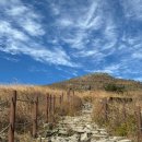 10월 25일 (토) 광주 무등산(1186m) 100대 명산 [백마능선 은빛억새] 산행안내 및 예약 이미지