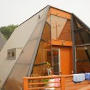 세모난나무 이미지