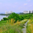 중원문화길 1구간 이미지