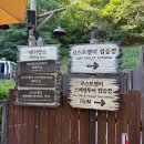 (주)스마트파킹 | [국내여행] 에버랜드 리버트레일 워킹주 어드벤처 15개월 아기와 주말 오후 입장 방문 후기