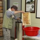 벌과 사람 이미지