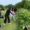 성내청소년문화의집 이미지