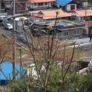 용소골농장 이미지