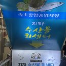 아라횟집 | 속초중앙시장 수산물 회센터 내돈내산 맛집 아라횟집 광어, 숭어 포장 후기