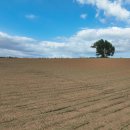 정우성목장 이미지