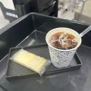 라피네 애견 스파 | [강남] 두피스파가 너무 시원한 살롱드라피네 포스코사거리점