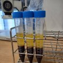 연세헤어성형외과의원 이미지