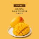 디스이즈핫 | 샤브올데이 천호점 무지개 생망고 매우 솔찍한 후기