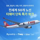 티웨이 이미지