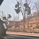 하귀안경 이미지