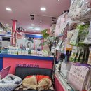 스머프동물병원 이미지