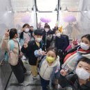 오창월드태권도 이미지