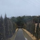 카페이사벨 | [춘천 만천리] 대형카페 '리퍼블릭' 내돈내산 후기