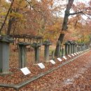 자인계정숲 이미지