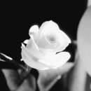 호이테 | [아이폰스냅.서브스냅] HEUTE_SNAP 호이테스냅 계약 후기 - 짝궁코드♡