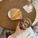 주수일기 13-14주 입덧약 줄이기 성공, 절박유산? 하루 아침에 고위험임산부가 된 나