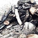 속초시립박물관 이미지