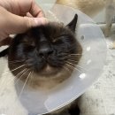 뚱땅뚱땅 이미지