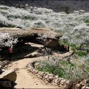 매화 어린이집 이미지