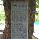 신평초등학교 이미지