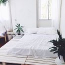 더솜 이미지