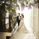 수원-0411 이미지