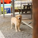 하늘다음펜션 이미지