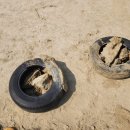 서울한산초등학교 이미지