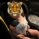 유모차카시트세탁뽀송강북점 이미지