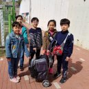 신금초교 이미지