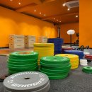 팀 크루즈 이미지