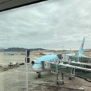 A380 | 대한항공 인천 나리타 왕복 후기｜A380 좌석 기내식 솔직 후기