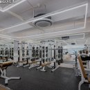 바디가드 짐 이미지