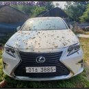 신흥말길1-1 이미지