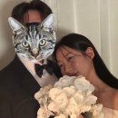 여고북로 | [부산] 알마스튜디오 하프 3hr 후기